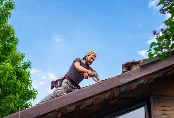 Best Gutter Installation and Repair  in New Martinsville, WV