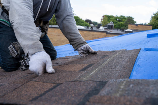 Best Sheet Metal Roofing  in New Martinsville, WV